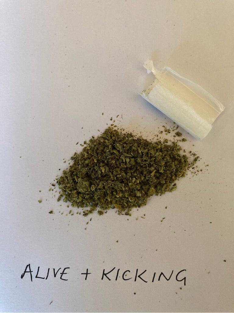Alive and Kicking CBD Cigarette