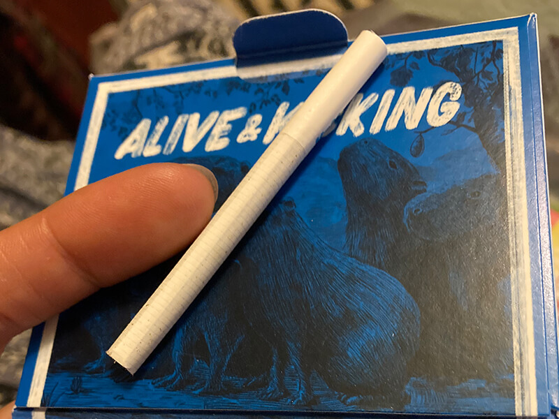 Alive and Kicking CBD Cigarettes