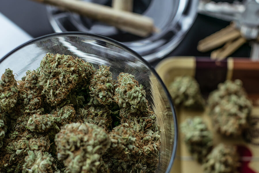 Sour Space Candy: Strain Review sour space candy buds