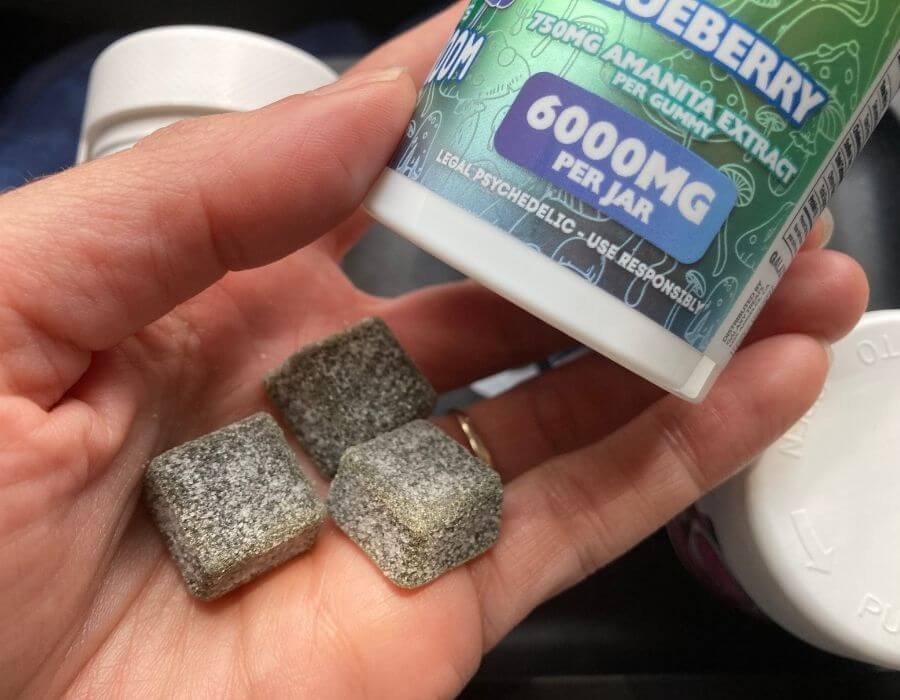 Galaxy Treats Moon Shroom Gummies (higher dose - 750 mg)