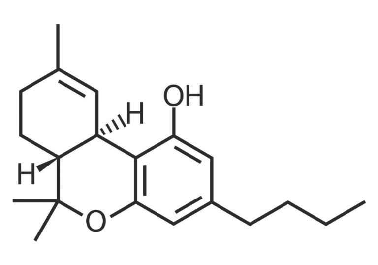 THC-B 101 | A Psychoactive Cannabinoid With Powerful Effects